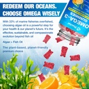 vegan-omega-3-gummies-for-adults-sugar-f-4.jpg