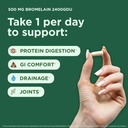 yuve-high-potency-bromelain-500mg-2400gd-2.jpg