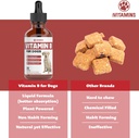 vitamin-b-for-dogs-vitamin-b-complex-for-4.jpg