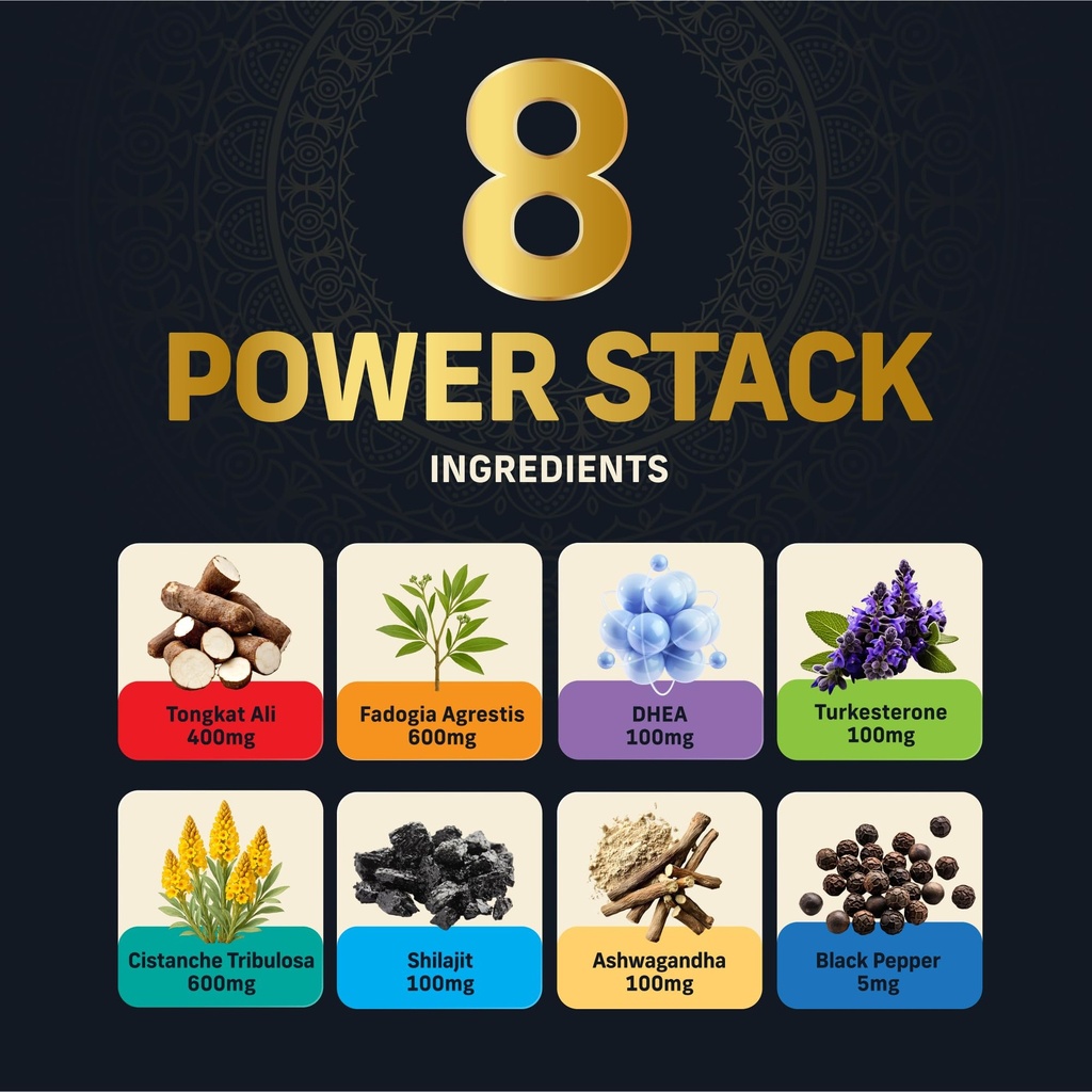 alpha-tribe-men-s-multivitamin-bundle-na-3.jpg