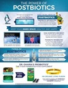 dr-ohhiras-probiotics-original-formula-w-6.jpg
