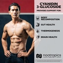 nootropics-depot-cyanidin-3-glucoside-ca-4.jpg