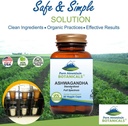 pure-mountain-botanicals-ashwagandha-cap-3.jpg