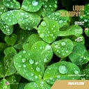 maxler-liquid-chlorophyll-mint-natural-f-3.jpg