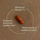 new-chapter-supercritical-omega-7-with-s-4.jpg