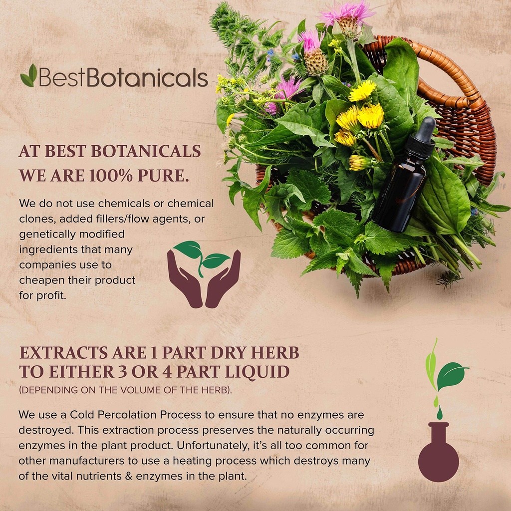 best-botanicals-st-john-s-wort-cut-16-oz-3.jpg