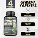 satoomi-pure-gymnema-sylvestre-capsules--3.jpg
