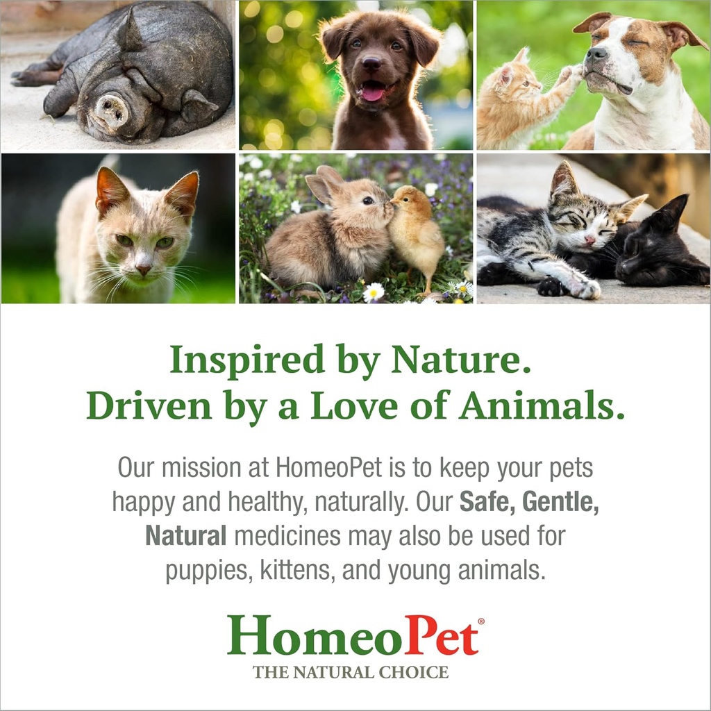 homeopet-feline-nose-relief-safe-and-nat-6.jpg