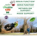 lifeable-vitamin-b6-gummies-for-kids-gre-3.jpg