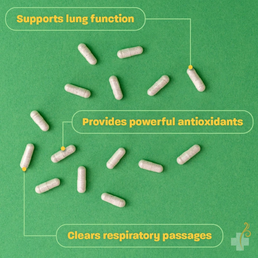 redd-remedies-lung-care-supports-easy-br-3.jpg
