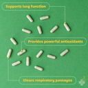 redd-remedies-lung-care-supports-easy-br-3.jpg