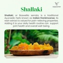 shallaki-boswellia-serrata-extract-suppl-2.jpg