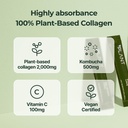 plant-vegan-collagen-peptide-kombucha-po-3.jpg