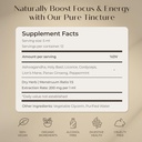 focus-energy-natural-mushroom-tincture---4.jpg