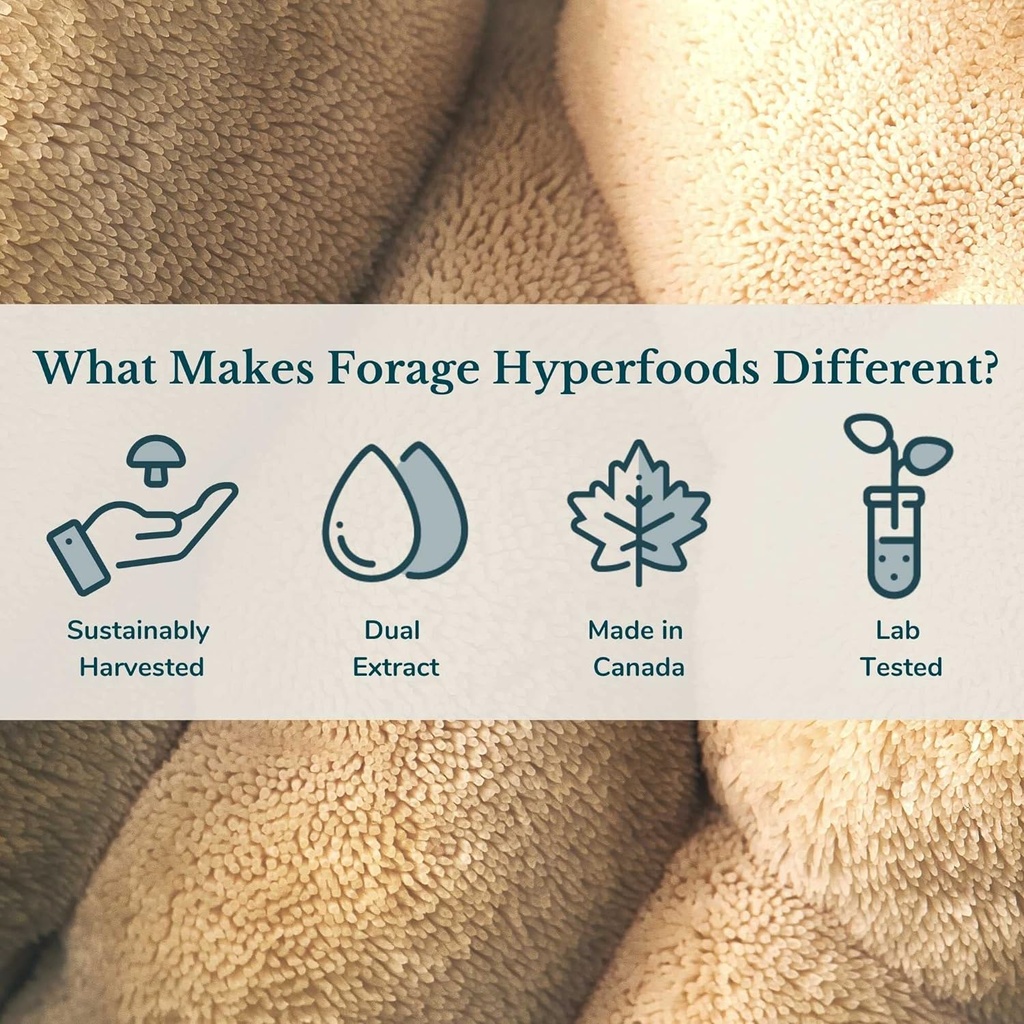 forage-hyperfoods--alcohol-free-canadian-3.jpg