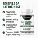 probase-nutrition-nattokinase-supplement-4.jpg