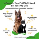 pet-wellbeing-bm-tone-up-gold-for-dogs-c-3.jpg