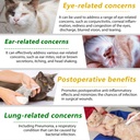 natural-antibiotics-for-cats-antibiotic--4.jpg