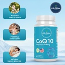coq10-ubiquinone-400mg-supplement-60-cap-3.jpg