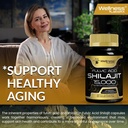 himalayan-shilajit-for-men---1500mg-shil-6.jpg