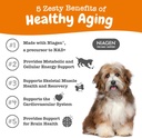 zesty-paws-nad-precursor-supplement-for--3.jpg