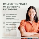 prominent-nutrition-berberine-phytosome--3.jpg