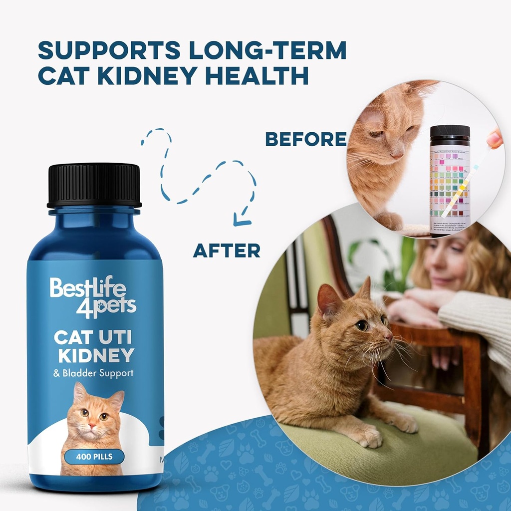 cat-uti-remedy-kidney-support-for-cats-n-4.jpg