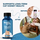 cat-uti-remedy-kidney-support-for-cats-n-4.jpg