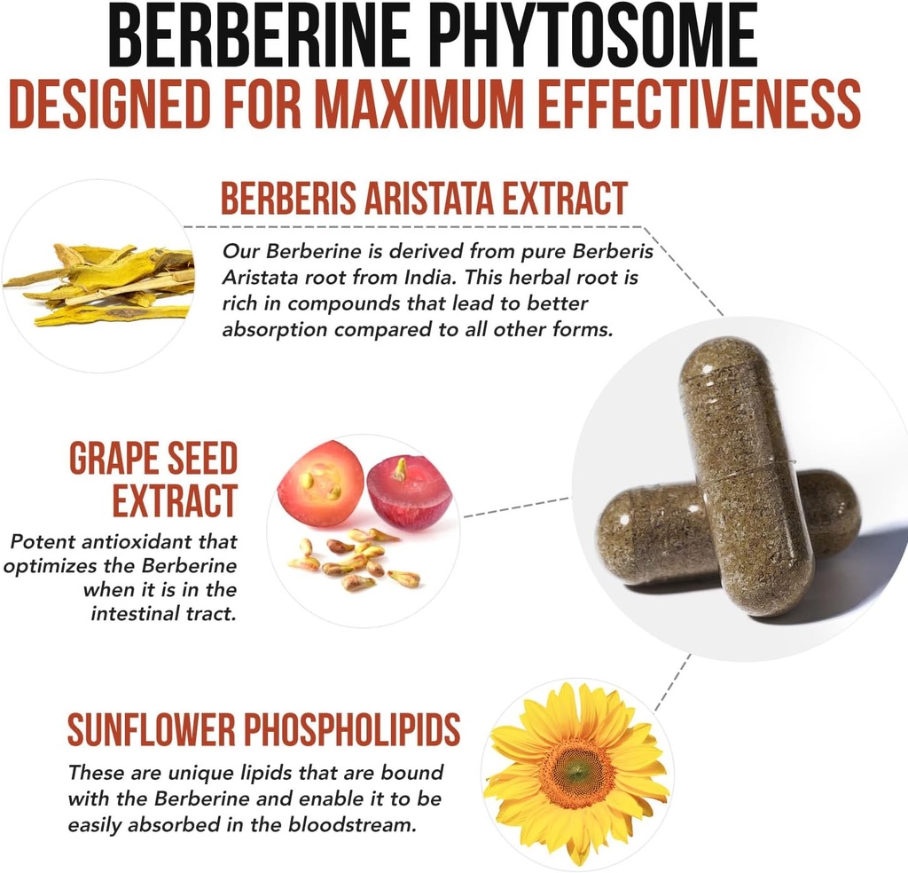 soactive-berberine-550mg-96x-higher-abso-4.jpg