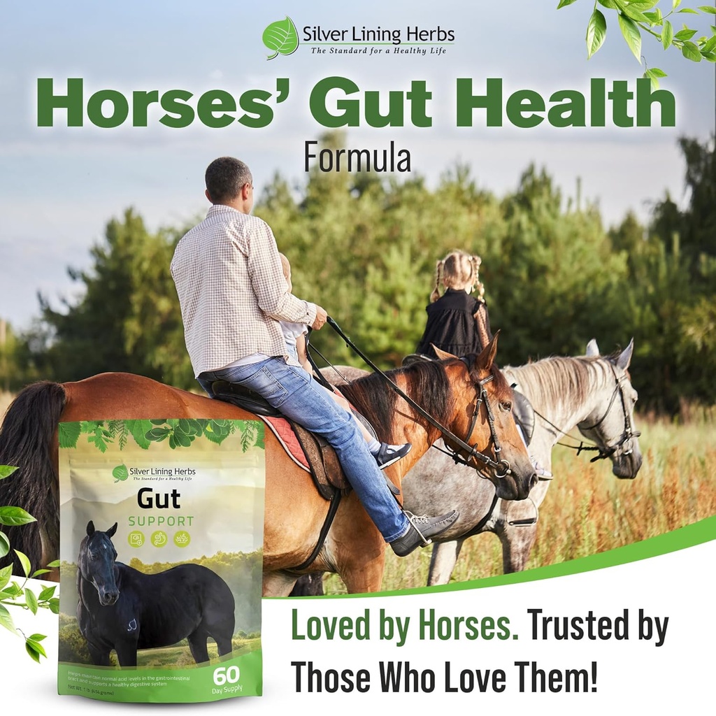 silver-lining-herbs-gut-support-horse-su-6.jpg