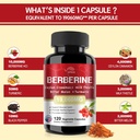 berberine-supplement-19060mgberberine-wi-2.jpg