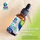 irish-sea-moss-drops---citrus-berry-flav-4.jpg
