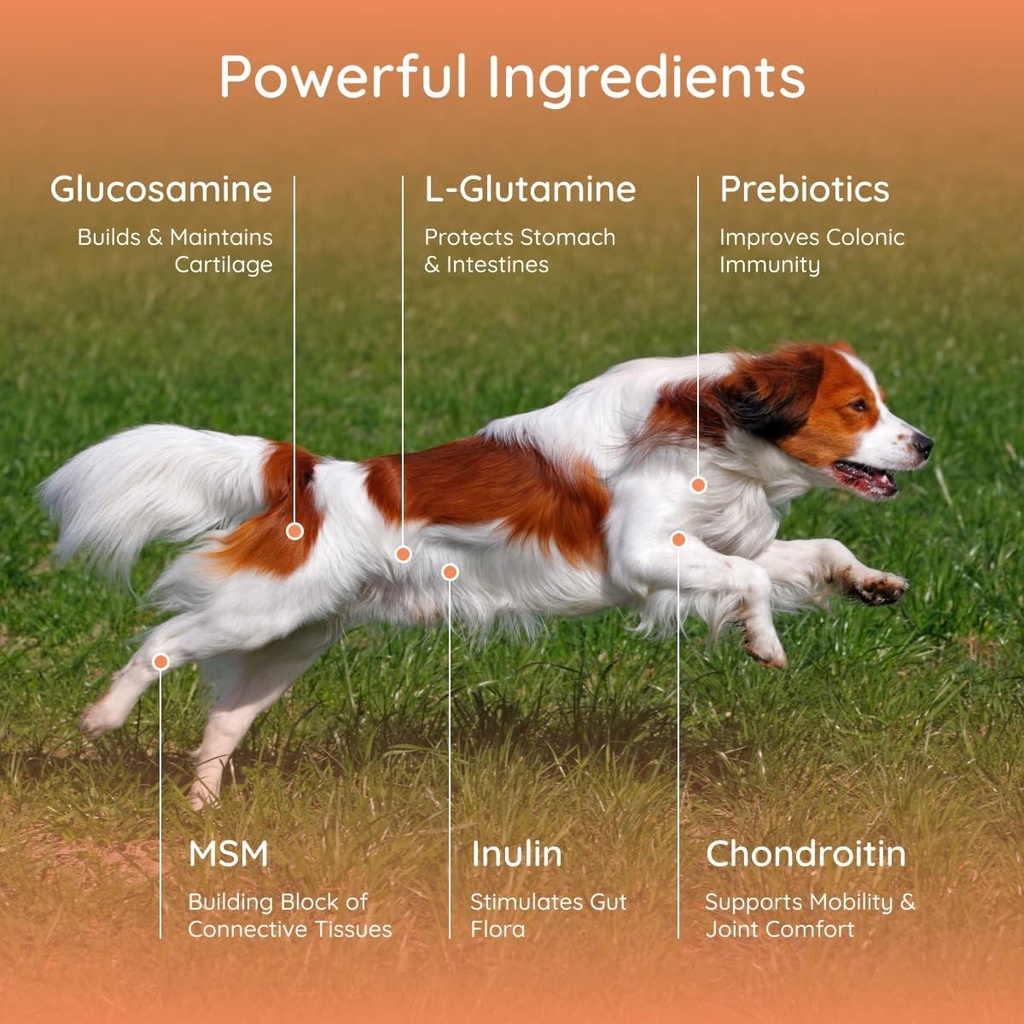 petralyte-dog-electrolyte-and-joint-supp-2.jpg