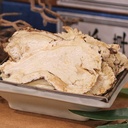 250-grams-pure-natural-premium-angelica--61wWA7OTYDL.jpg