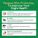 dog-probiotics-for-digestive-health---pr-5.jpg
