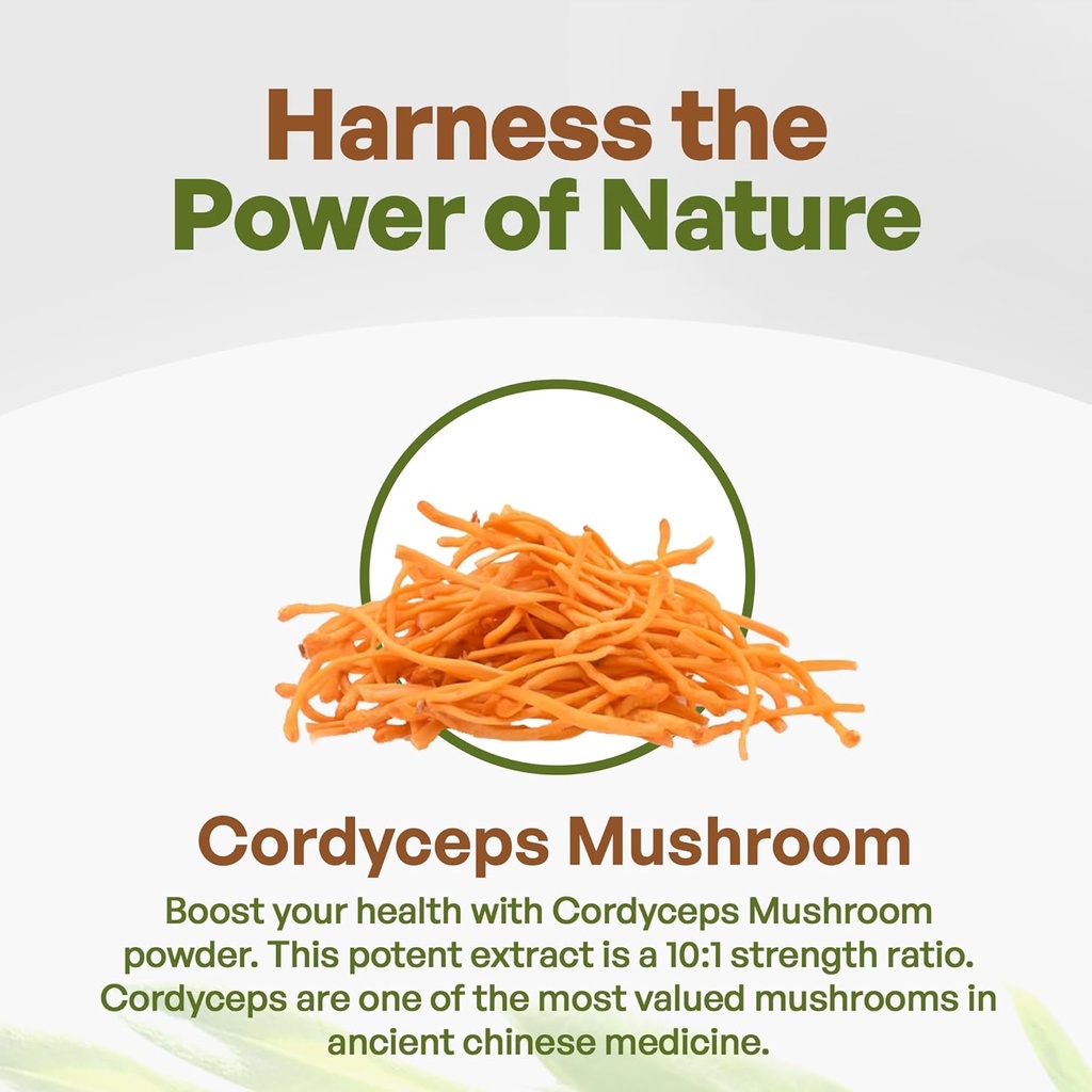 cordyceps-mushroom-powder-cordyceps-extr-3.jpg