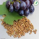 iagrifarm-black-grape-seeds-250-gram-ang-71GW5qQf-FL.jpg