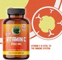 pure-labs-vitamins-vitamin-c-1000mg-120--6.jpg