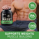 optimum-nutrition-on-serious-mass-high-p-71qVLaS3KvL.jpg