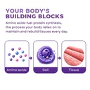 a-to-z-amino-tablets-amino-acid-suppleme-716ZhqwC0lL.jpg