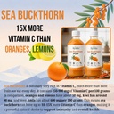 himalayan-sea-buckthorn-juice-500ml-pack-71w8MJjJRgL.jpg