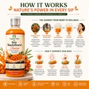 himalayan-sea-buckthorn-berry-juice-500m-71TqECoiLlL.jpg