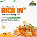 biosash-sea-buckthorn-juice-with-moringa-71LcZR7+yYL.jpg