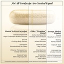 rooted-actives-cordyceps-militaris-mushr-61V9jJXtDJL.jpg