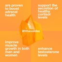 ashwagandha-extract-veg-capsules-5-witha-71-+bBeJRtL.jpg
