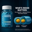 b-verge-liposomal-quercetin-100mg-premiu-61d7pRusVhL.jpg