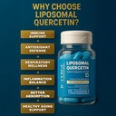 b-verge-liposomal-quercetin-100mg-premiu-61T8C18hULL.jpg