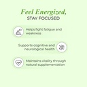 nutrela-vitamin-b12-plant-based-suppleme-51+1B4z131L.jpg