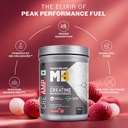 muscleblaze-micronised-creatine-monohydr-718A3ODJJsL.jpg