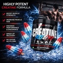 black-beast-creatine-3000mg-ultra-micron-711umm99TDL.jpg